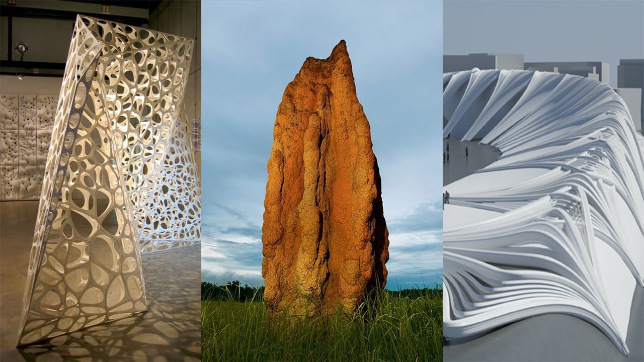 Biomimicry in architecture