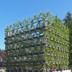 Living Buildings: Buildings that incorporate plant life