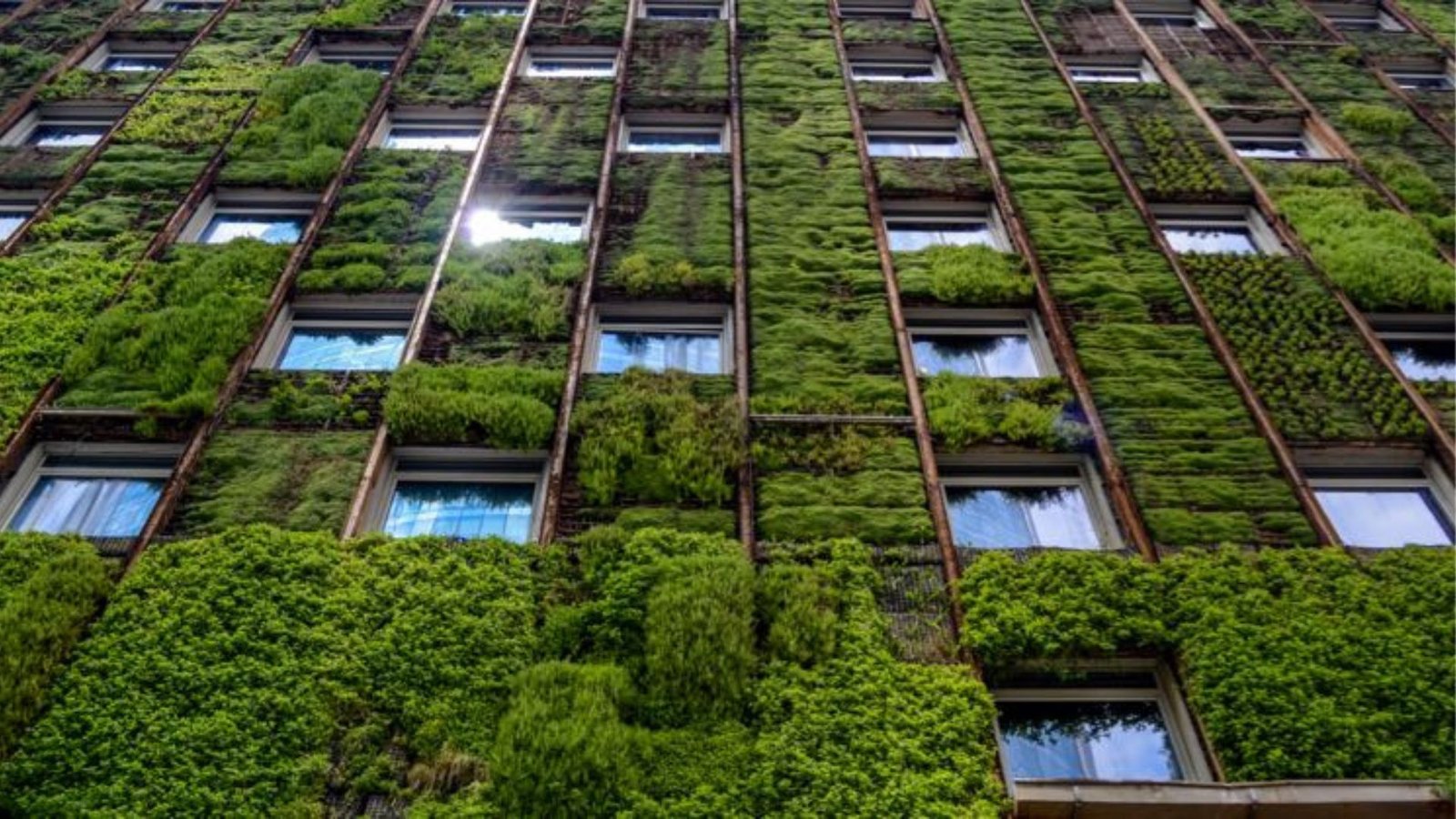 The Examples of Eco-Friendly Building Projects